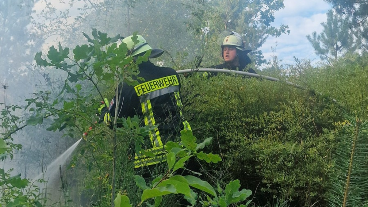 FW Celle: Zwei Vegetationsbrände in der Witzlebenstraße - Foto: presseportal.de