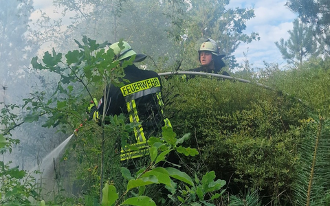 FW Celle: Zwei Vegetationsbrände in der Witzlebenstraße - Foto: presseportal.de