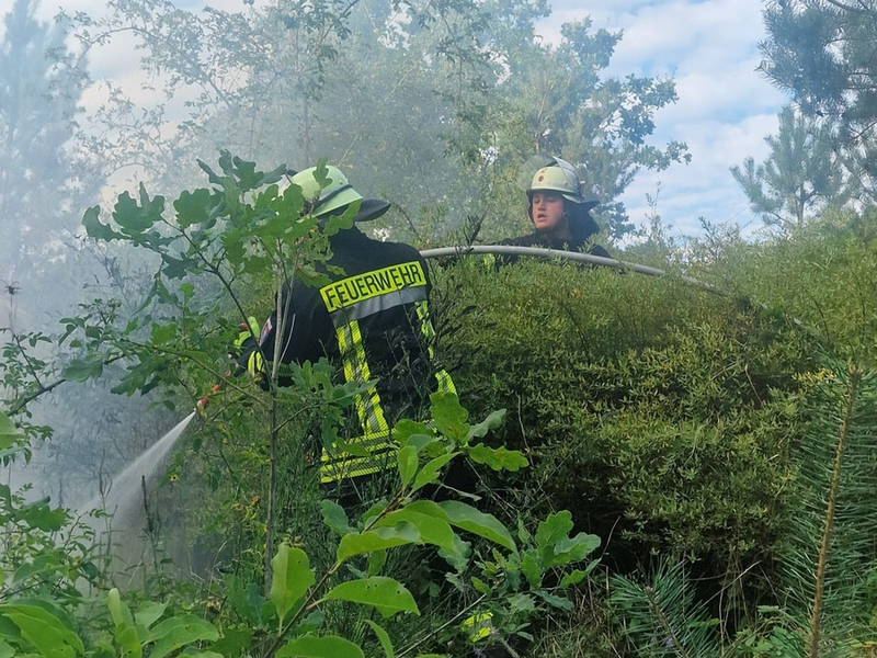 FW Celle: Zwei Vegetationsbrände in der Witzlebenstraße - Foto: presseportal.de
