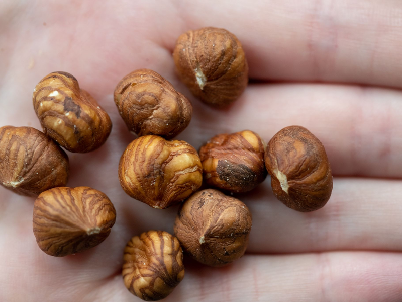 Haselnüsse wachsen auch in Deutschland, kommen aber vor allem aus der Türkei. (Illustration) - Foto: Daniel Karmann/dpa