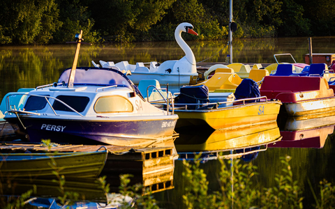 Die Sonne zeigt sich häufig über Deutschland in den kommenden Tagen.  - Foto: Moritz Frankenberg/dpa