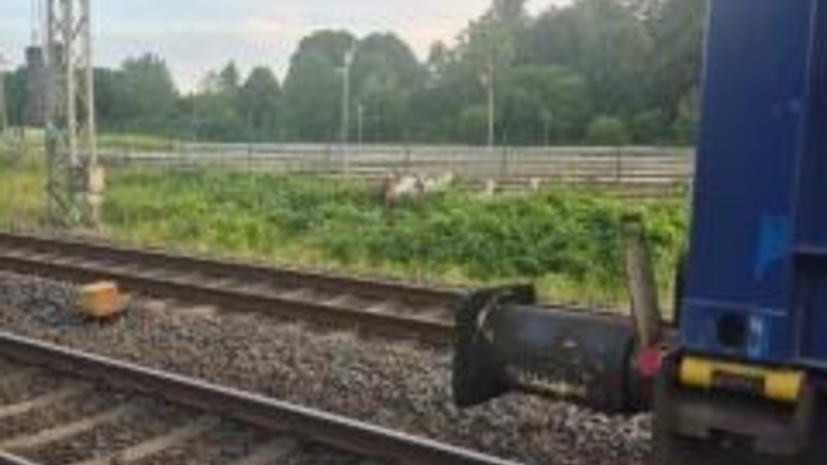 BPOL-FL: HAR - Ziegen am Gleis verursachen Zugverspätungen - Foto: presseportal.de