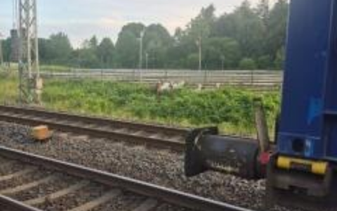 BPOL-FL: HAR - Ziegen am Gleis verursachen Zugverspätungen - Foto: presseportal.de