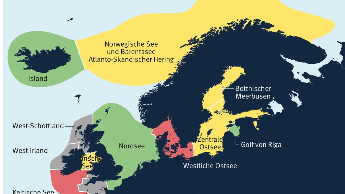 MSC-Studie: Hering in deutschen Supermärkten nur zur Hälfte nachhaltig - Foto: presseportal.de