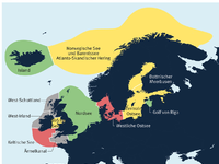 MSC-Studie: Hering in deutschen Supermärkten nur zur Hälfte nachhaltig - Foto: presseportal.de
