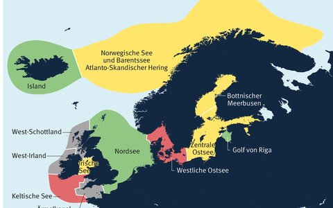 MSC-Studie: Hering in deutschen Supermärkten nur zur Hälfte nachhaltig - Foto: presseportal.de
