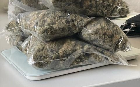 BPOL NRW: Bundespolizei beschlagnahmt Marihuana am Hauptbahnhof - Foto: presseportal.de