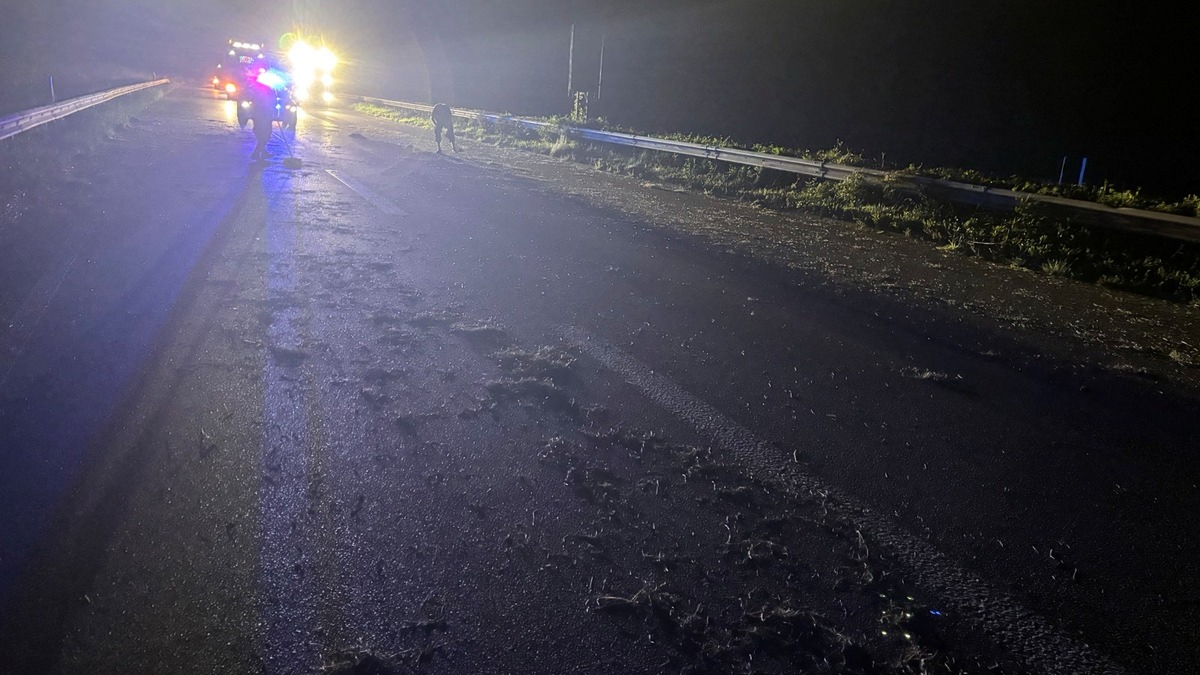 POL-PDLD: Mit Heuballen kollidiert - Foto: presseportal.de