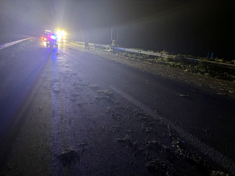 POL-PDLD: Mit Heuballen kollidiert - Foto: presseportal.de