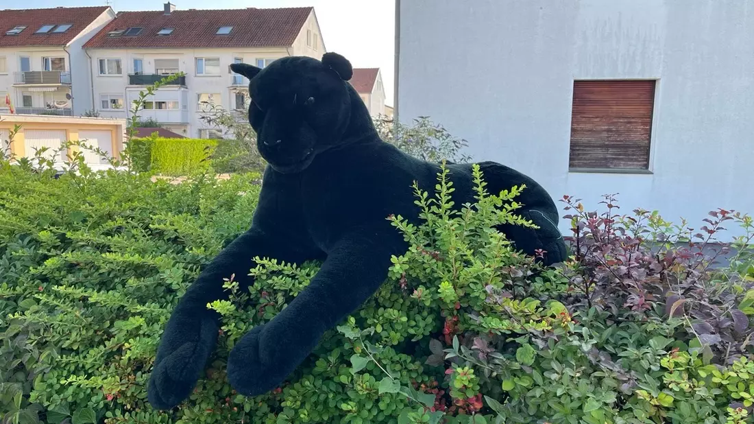 POL-LIP: Lage. Gefährdung durch ein freilaufendes Raubtier? - Bild: presseportal.de