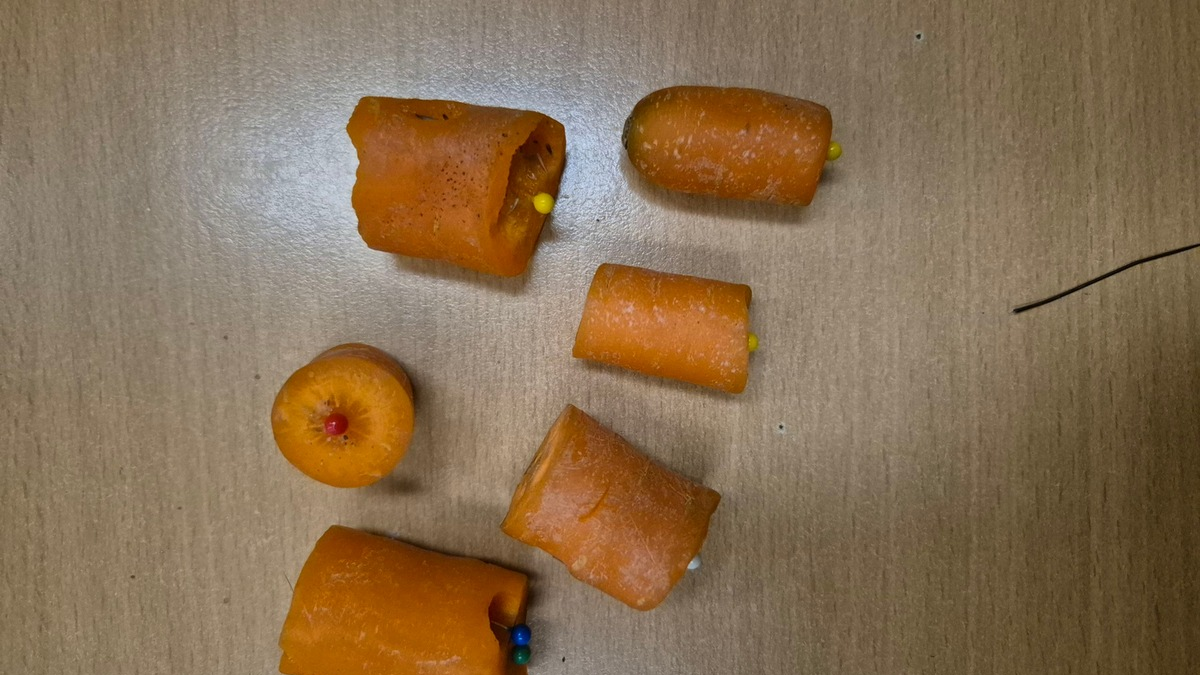 POL-SE: Wedel - Pferd wird durch mit Nadeln präparierte Karotten verletzt - Polizei leitet Strafverfahren ein und sucht Hinweise - Foto: presseportal.de