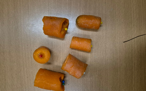 POL-SE: Wedel - Pferd wird durch mit Nadeln präparierte Karotten verletzt - Polizei leitet Strafverfahren ein und sucht Hinweise - Foto: presseportal.de