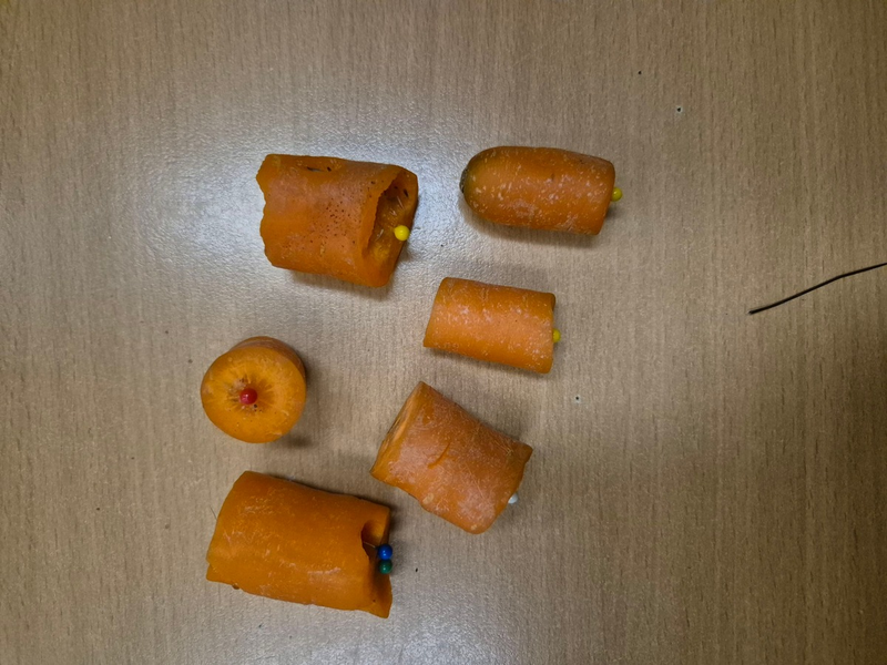 POL-SE: Wedel - Pferd wird durch mit Nadeln präparierte Karotten verletzt - Polizei leitet Strafverfahren ein und sucht Hinweise - Foto: presseportal.de