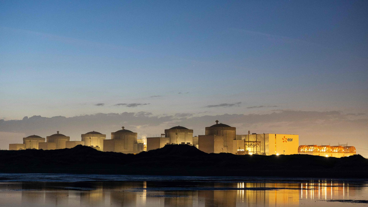 Wegen Quallen steht der Betrieb eines französischen AKW vorerst still. (Archivbild) - Foto: Sameer Al-Doumy/AFP/dpa