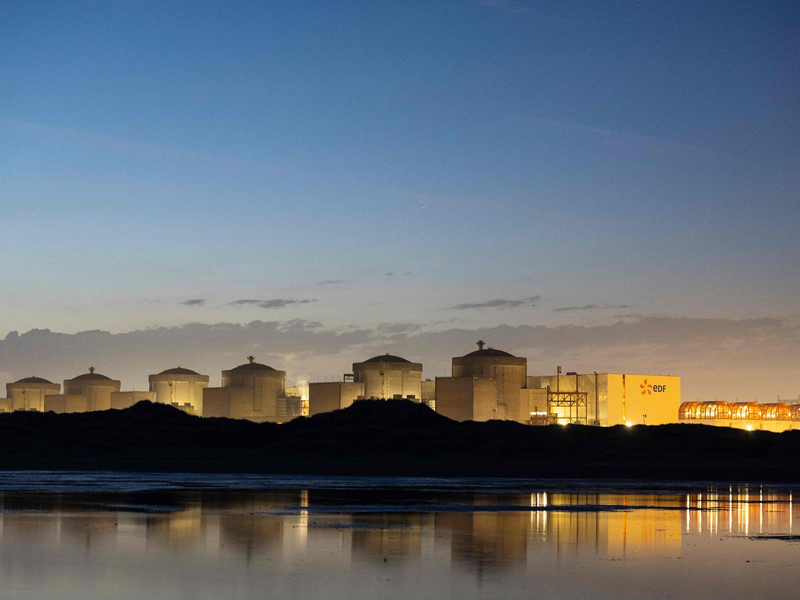 Wegen Quallen steht der Betrieb eines französischen AKW vorerst still. (Archivbild) - Foto: Sameer Al-Doumy/AFP/dpa