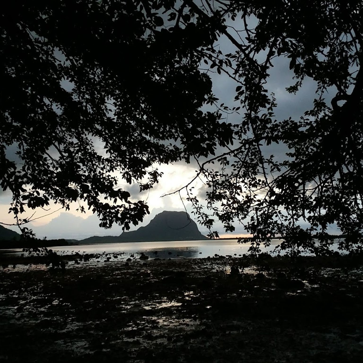 Der Berggipfel Le Morne Brabant auf Mauritius - Foto: Vel Moonien/dpa