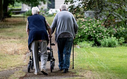 Irgendwann geht es für viele mit Arthrose nicht mehr ohne - nicht ohne Schmerzen, nicht ohne Gehilfe. (Symbolbild) - Foto: Fabian Sommer/dpa