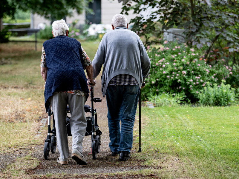 Irgendwann geht es für viele mit Arthrose nicht mehr ohne - nicht ohne Schmerzen, nicht ohne Gehilfe. (Symbolbild) - Foto: Fabian Sommer/dpa