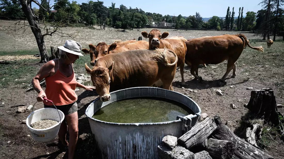 Die große Trockenheit macht in Frankreich insbesondere den Landwirten zu schaffen. - Bild: Jean-Philippe Ksiazek/AFP/dpa