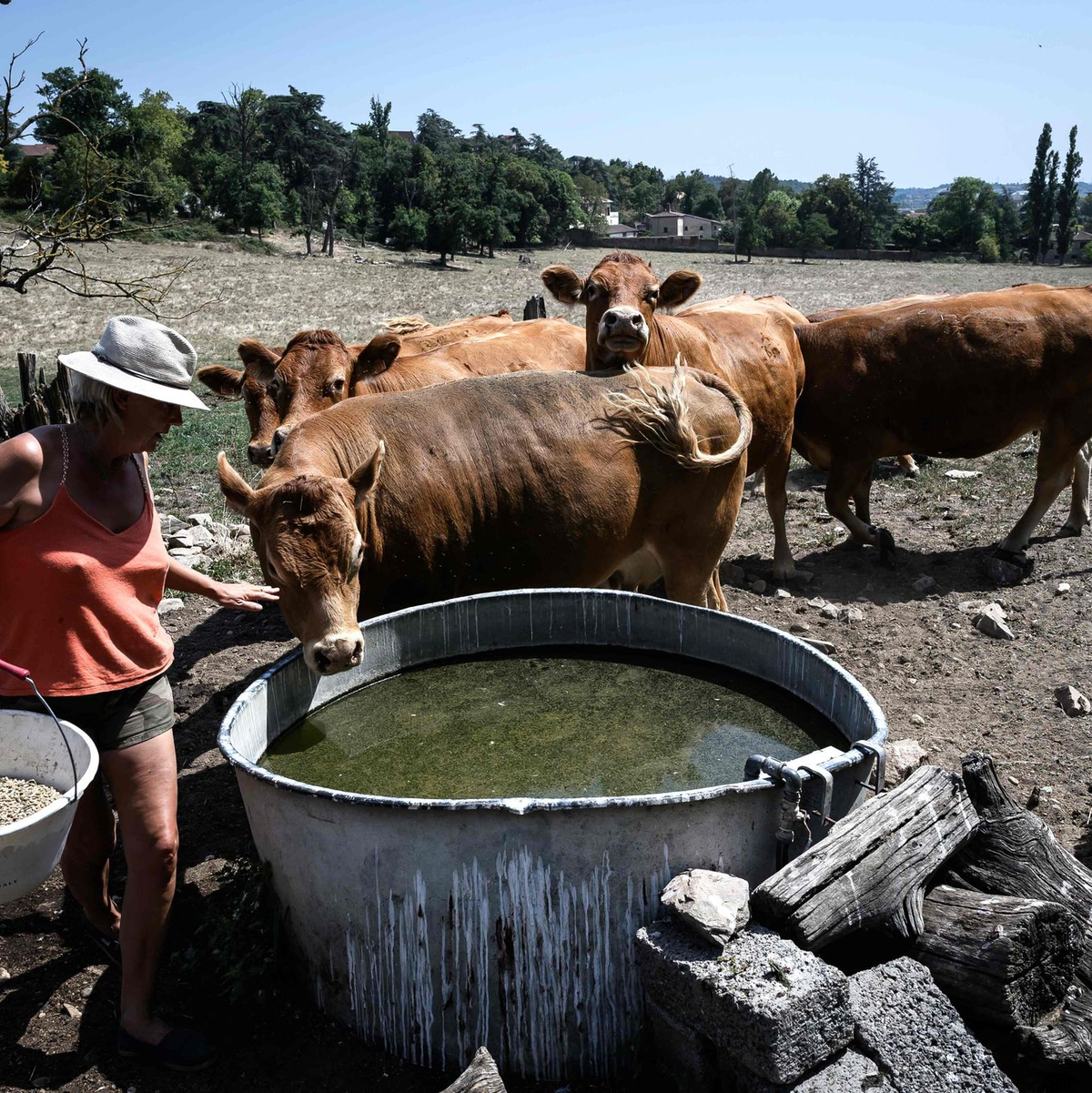 Die große Trockenheit macht in Frankreich insbesondere den Landwirten zu schaffen. - Foto: Jean-Philippe Ksiazek/AFP/dpa
