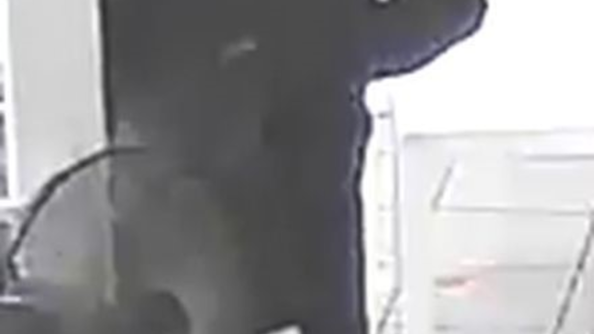 POL-SBR-BURB: Öffentlichkeitsfahndung nach schwerem Raub in Saarbrücken - Burbach / Bilder der Täter veröffentlicht - Foto: presseportal.de