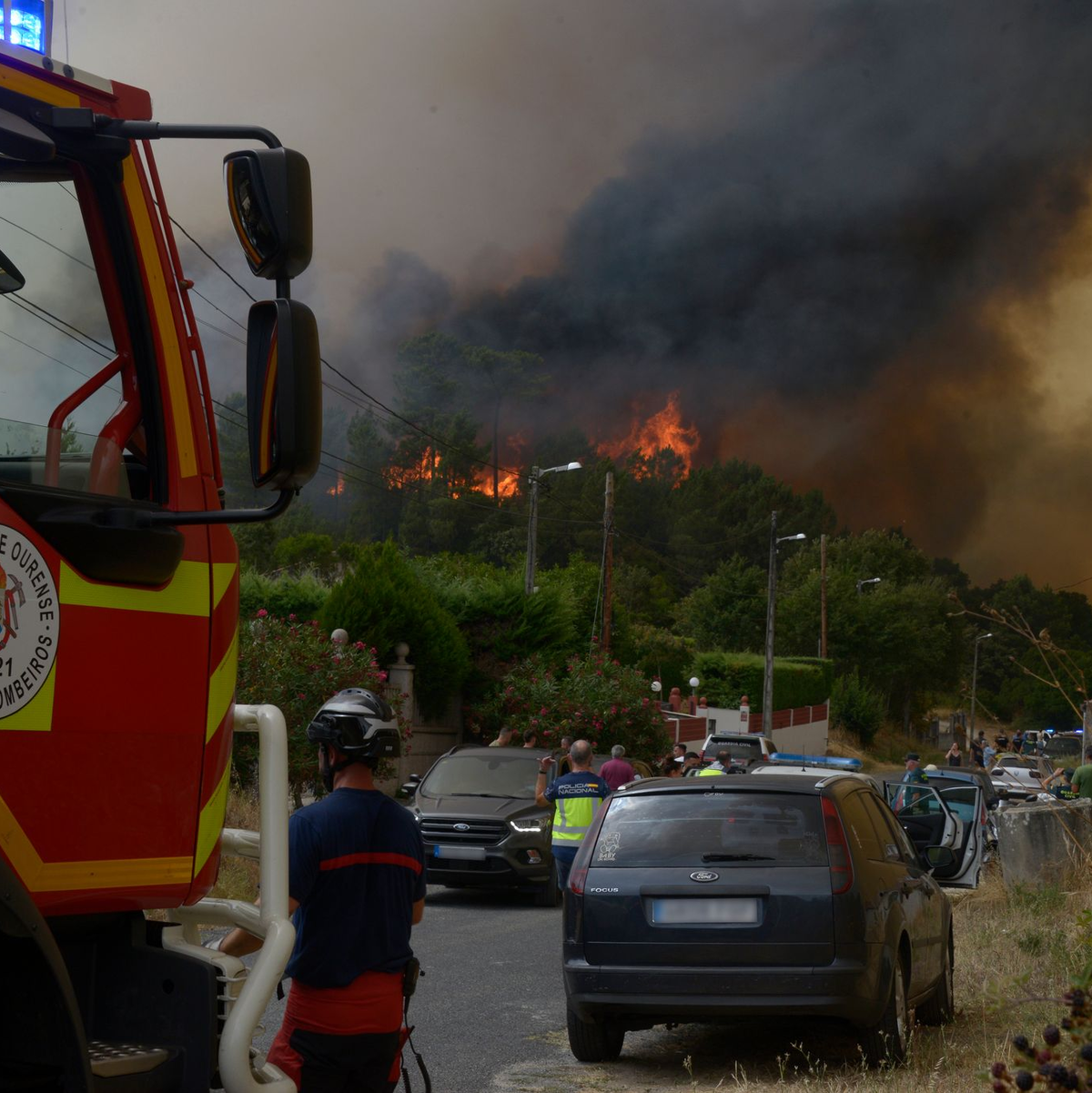In einigen Fällen wird Brandstiftung vermutet. - Foto: Rosa Veiga/EUROPA PRESS/dpa