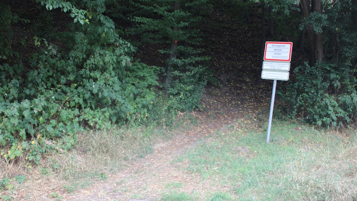 POL-MI: 10-jähriger Mountainbikefahrer stürzt schwer - Krankenhausaufnahme - Foto: presseportal.de