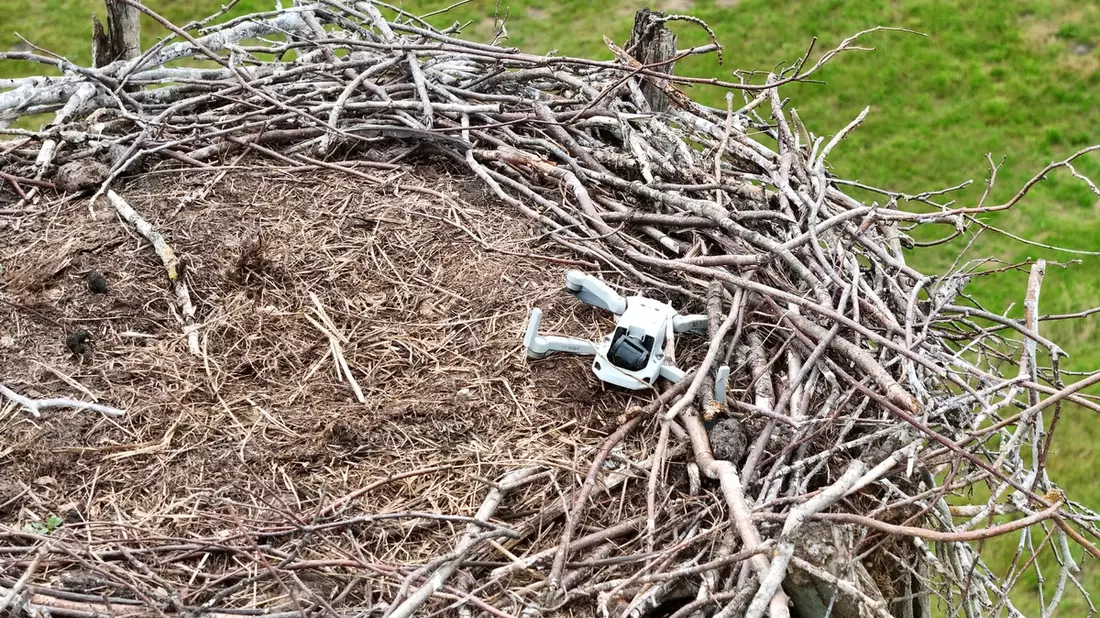 POL-LG: ++ Storchennest mit Drohne gestört - Tiere verlassen das Nest ++ Monitore und Empfänger aus landwirtschaftlichen Maschinen gestohlen ++ Alkoholisierte Radfahrerin von Zeugen festgehalten ++ - Bild: presseportal.de