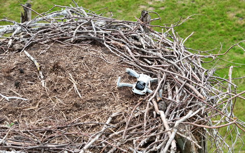 POL-LG: ++ Storchennest mit Drohne gestört - Tiere verlassen das Nest ++ Monitore und Empfänger aus landwirtschaftlichen Maschinen gestohlen ++ Alkoholisierte Radfahrerin von Zeugen festgehalten ++ - Foto: presseportal.de