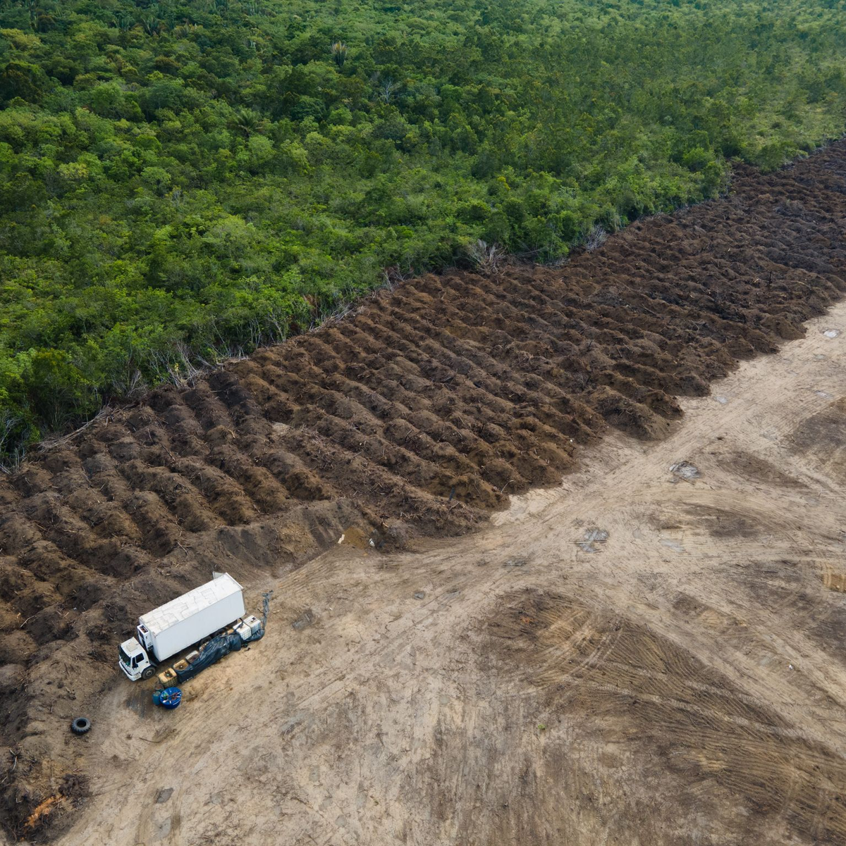Im brasilianischen Amazonasgebiet sind seit 1985 rund 52 Millionen Hektar Natur verloren gegangen – eine Fläche größer als Spanien. (Archivbild) - Foto: Fernando Souza/ZUMA Press Wire/dpa