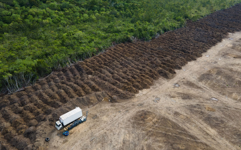 Im brasilianischen Amazonasgebiet sind seit 1985 rund 52 Millionen Hektar Natur verloren gegangen – eine Fläche größer als Spanien. (Archivbild) - Foto: Fernando Souza/ZUMA Press Wire/dpa