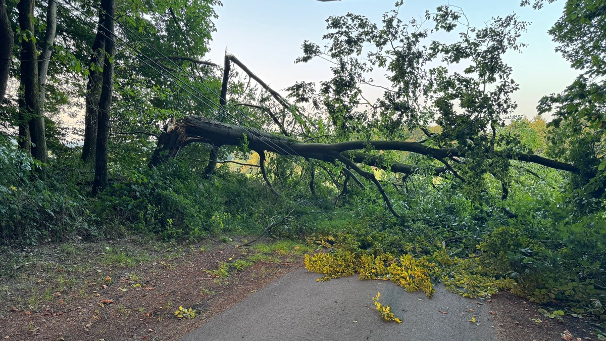 FW-EN: Mehrere Einsätze seit Wochenbeginn - Foto: presseportal.de