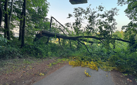FW-EN: Mehrere Einsätze seit Wochenbeginn - Foto: presseportal.de