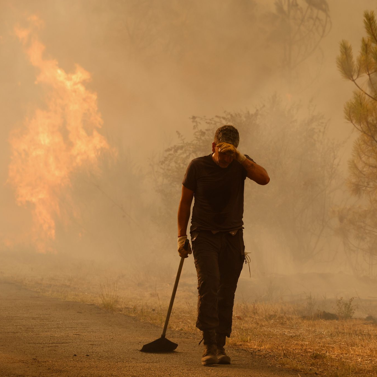 Die Einsatzkräfte bekommen Unterstützung aus Deutschland. (Archivfoto) - Foto: Lalo R. Villar/AP/dpa