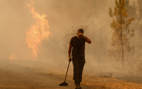Die Einsatzkräfte bekommen Hilfe aus Deutschland. - Foto: Lalo R. Villar/AP/dpa