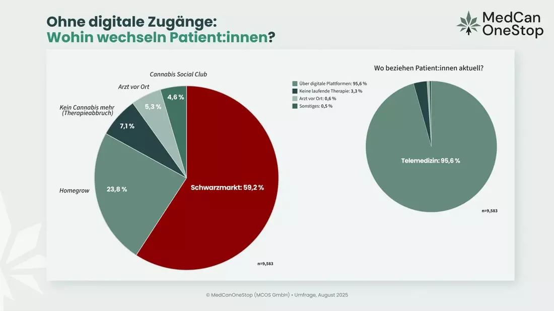BMG-Entwurf gefährdet medizinische Cannabisversorgung: 92,6 % befürchten Rekriminalisierung / 59,2 % würden ohne digitale Zugänge in den Schwarzmarkt wechseln - Bild: presseportal.de