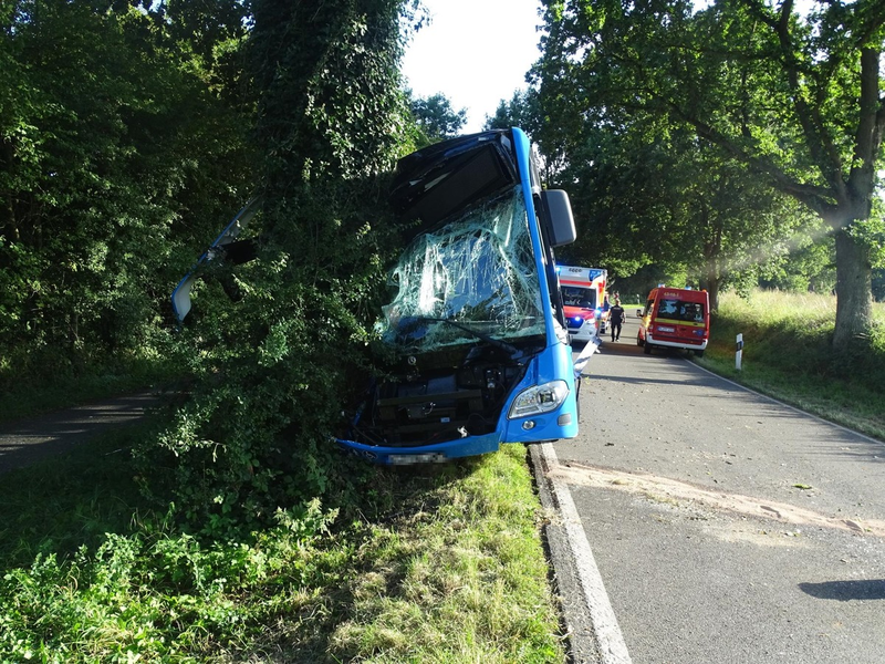 POL-KI: 250814.2 Hohwacht: Linienbus verunfallt - eine Person leicht verletzt - Foto: presseportal.de