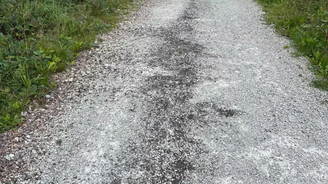 POL-GÖ: (276/2025) Ölverschmutzung auf Waldweg im Kuckanstal bei Bad Sachsa - Polizei sucht Zeugen - Bild: presseportal.de