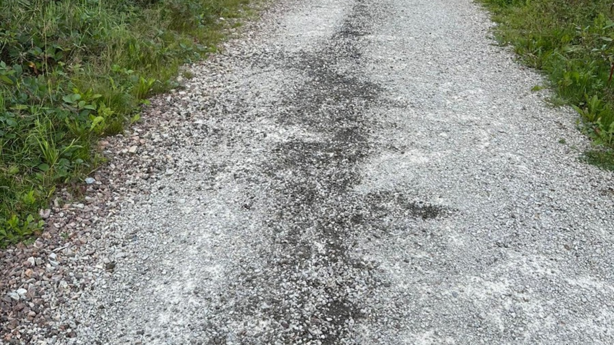 POL-GÖ: (276/2025) Ölverschmutzung auf Waldweg im Kuckanstal bei Bad Sachsa - Polizei sucht Zeugen - Foto: presseportal.de