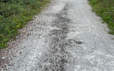 POL-GĂ–: (276/2025) Ă–lverschmutzung auf Waldweg im Kuckanstal bei Bad Sachsa - Polizei sucht Zeugen - Foto: presseportal.de POL-GĂ–: (276/2025) Ă–lverschmutzung auf Waldweg im Kuckanstal bei Bad Sachsa - Polizei sucht Zeugen - Foto: presseportal.de