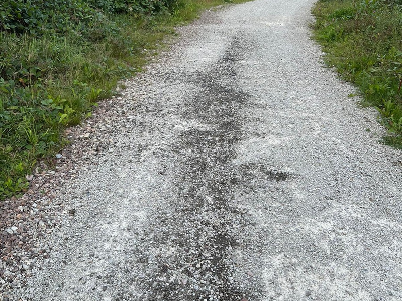 POL-GÖ: (276/2025) Ölverschmutzung auf Waldweg im Kuckanstal bei Bad Sachsa - Polizei sucht Zeugen - Foto: presseportal.de