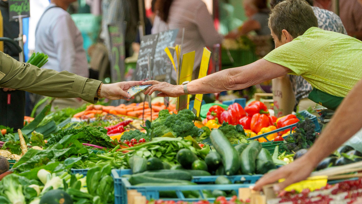 Bei Salat liegt der deutsche Selbstversorgungsgrad etwas höher als bei anderen Gemüsearten. (Archivbild) - Foto: Andreas Arnold/dpa