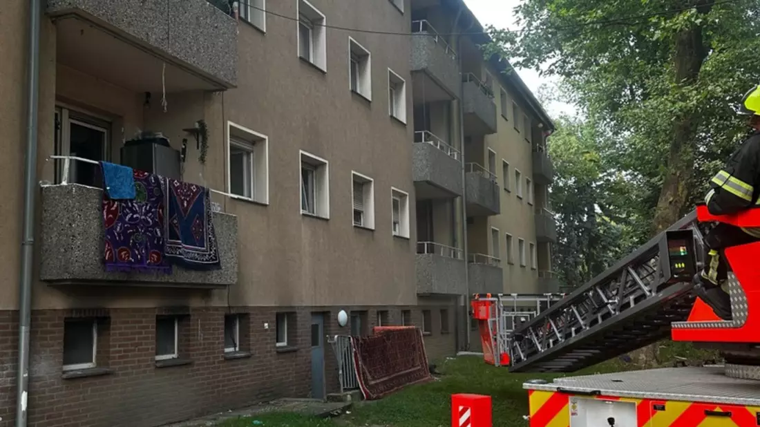 FW Bergheim: Feuerwehr rettet mehrere Personen bei Kellerbrand in Bergheim Sieben Personen über Leitern aus Mehrfamilienhaus gerettet - Feuerwehr brachte Brand schnell unter Kontrolle - Bild: presseportal.de