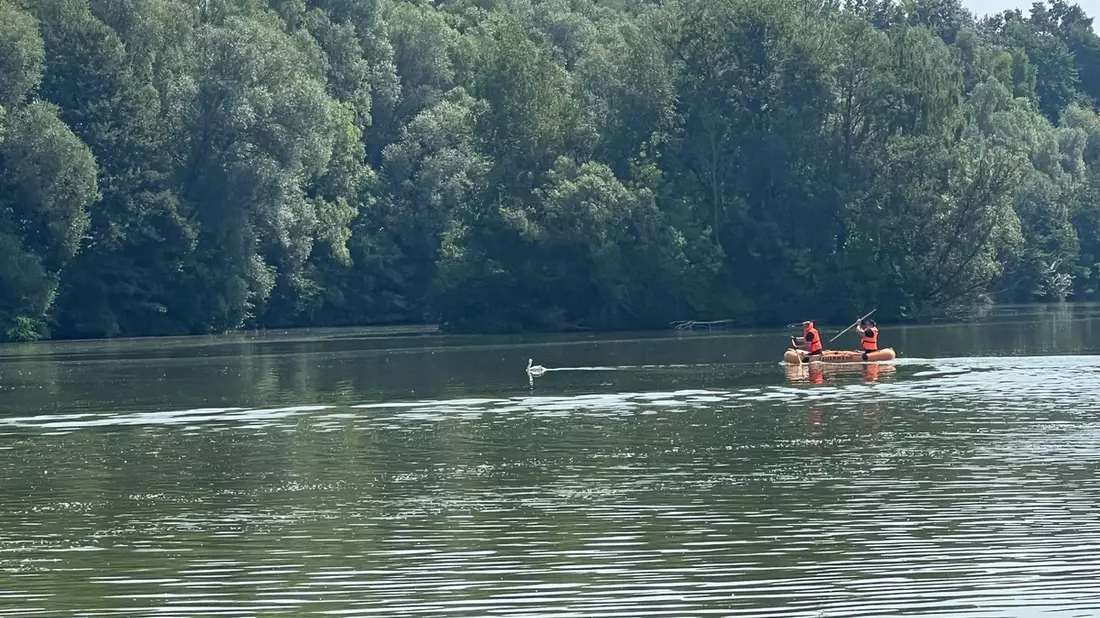 FW-DT: Die Feuerwehr Detmold befreit Schwan von einer Angelschnur auf dem Meschesee - Bild: presseportal.de