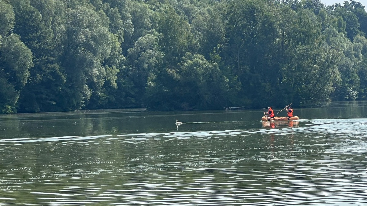 FW-DT: Die Feuerwehr Detmold befreit Schwan von einer Angelschnur auf dem Meschesee - Foto: presseportal.de