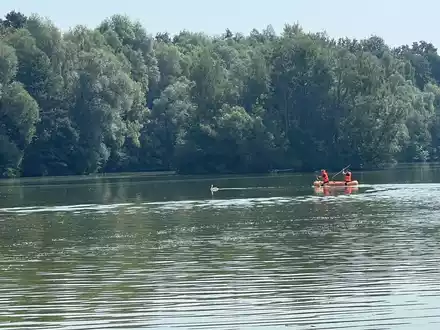 FW-DT: Die Feuerwehr Detmold befreit Schwan von einer Angelschnur auf dem Meschesee - Foto: presseportal.de