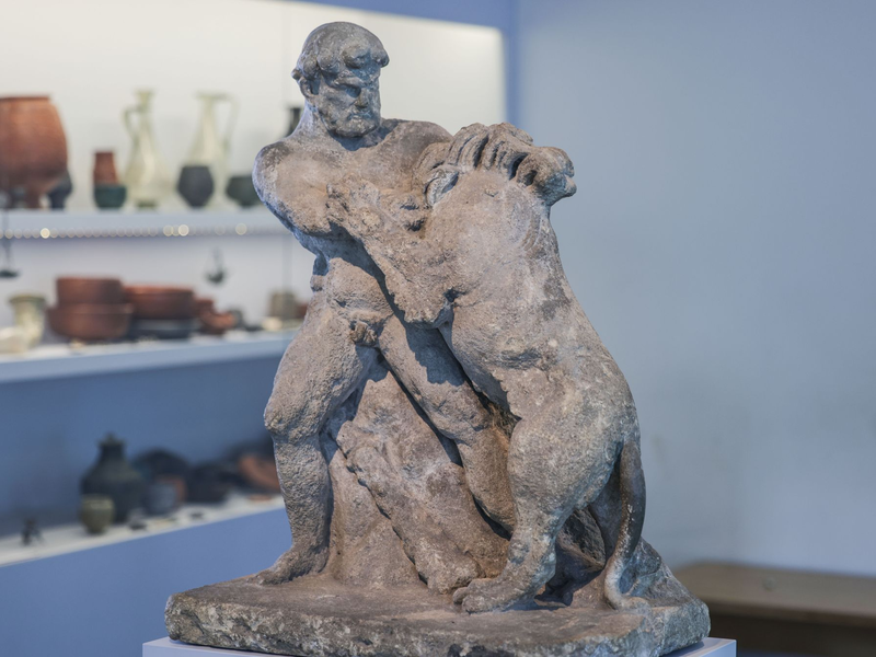 Die Römer rotteten die damals noch in Griechenland verbreiteten Löwen aus und dezimierten auch die Bestände in Nordafrika. - Foto: Oliver Berg/dpa