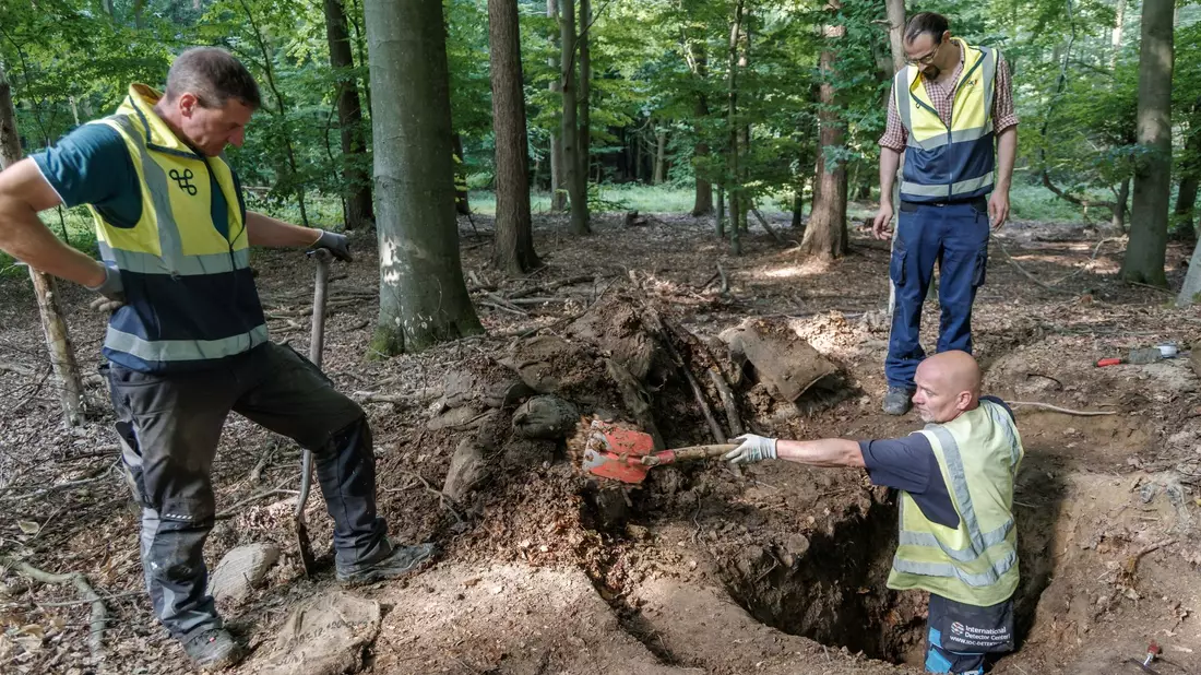Archäologen haben in Schleswig-Holstein statt der vermuteten Raubgrabung eine Gefechtsstellung der Bundeswehr ausgegraben. - Bild: Markus Scholz/dpa