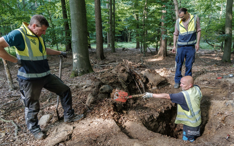 Archäologen haben in Schleswig-Holstein statt der vermuteten Raubgrabung eine Gefechtsstellung der Bundeswehr ausgegraben. - Foto: Markus Scholz/dpa Archäologen haben in Schleswig-Holstein statt der vermuteten Raubgrabung eine Gefechtsstellung der Bundeswehr ausgegraben. - Foto: Markus Scholz/dpa