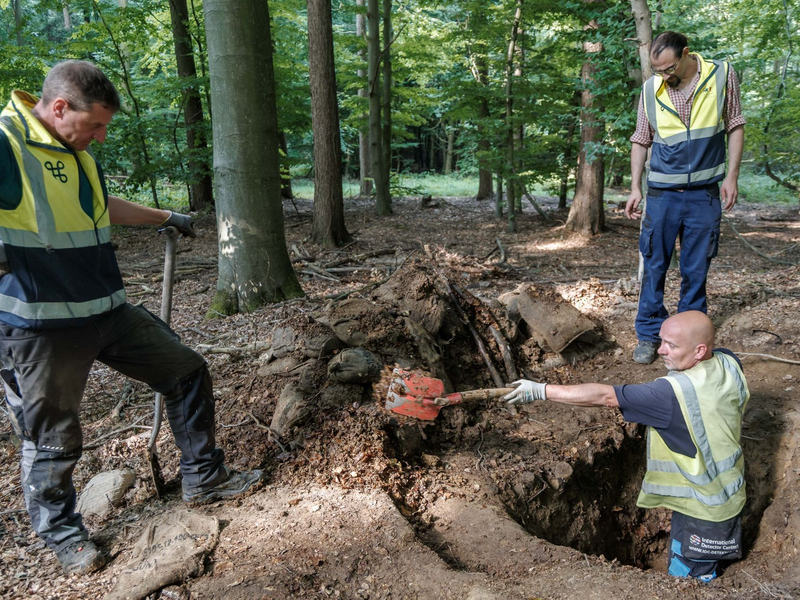 Grabungsleiter Christoph Unglaub sagt, das Denkmal sei zum Teil zerstört worden. - Foto: Markus Scholz/dpa